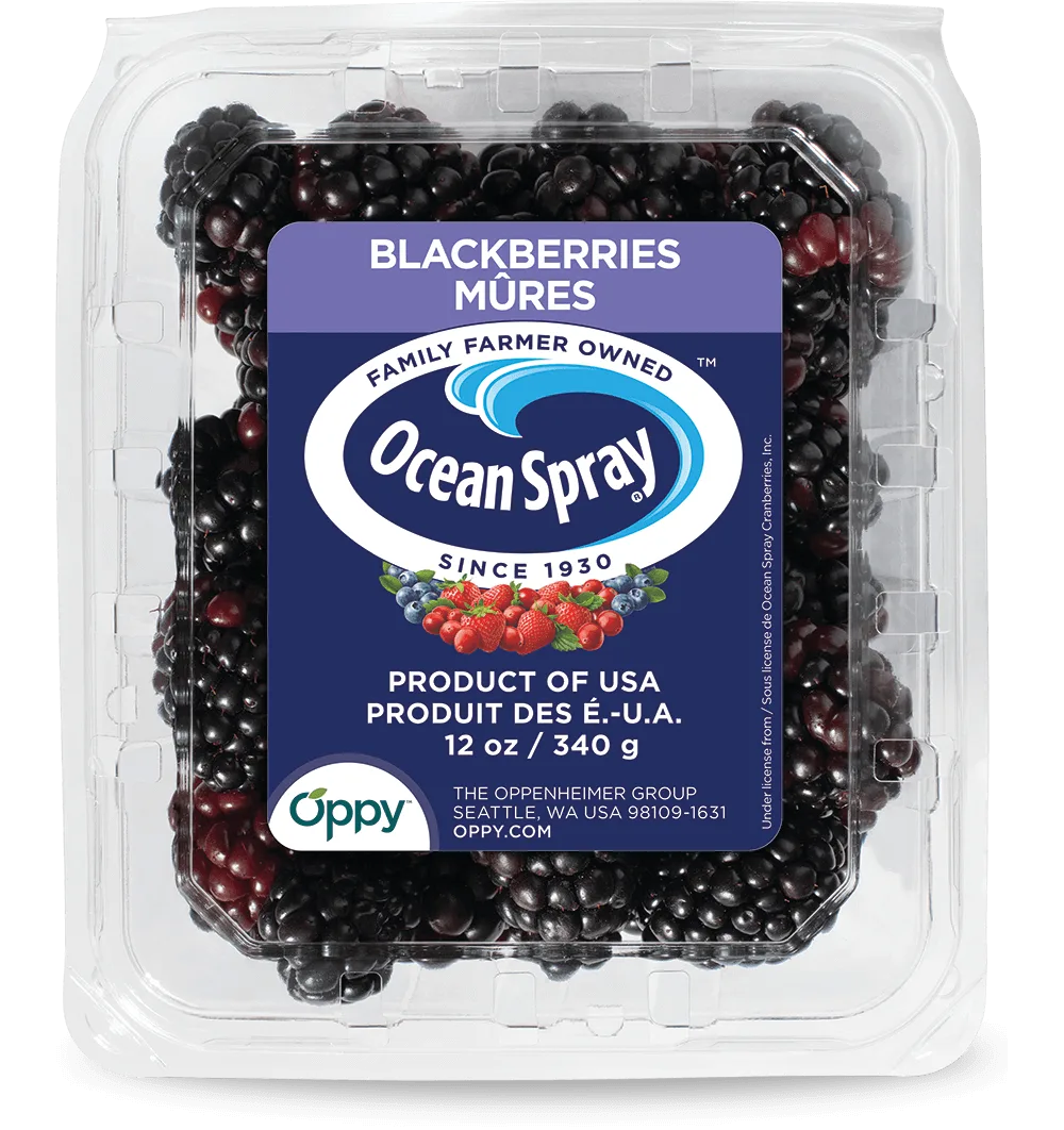Fresh and Nutritious Ocean Spray® Blackberries