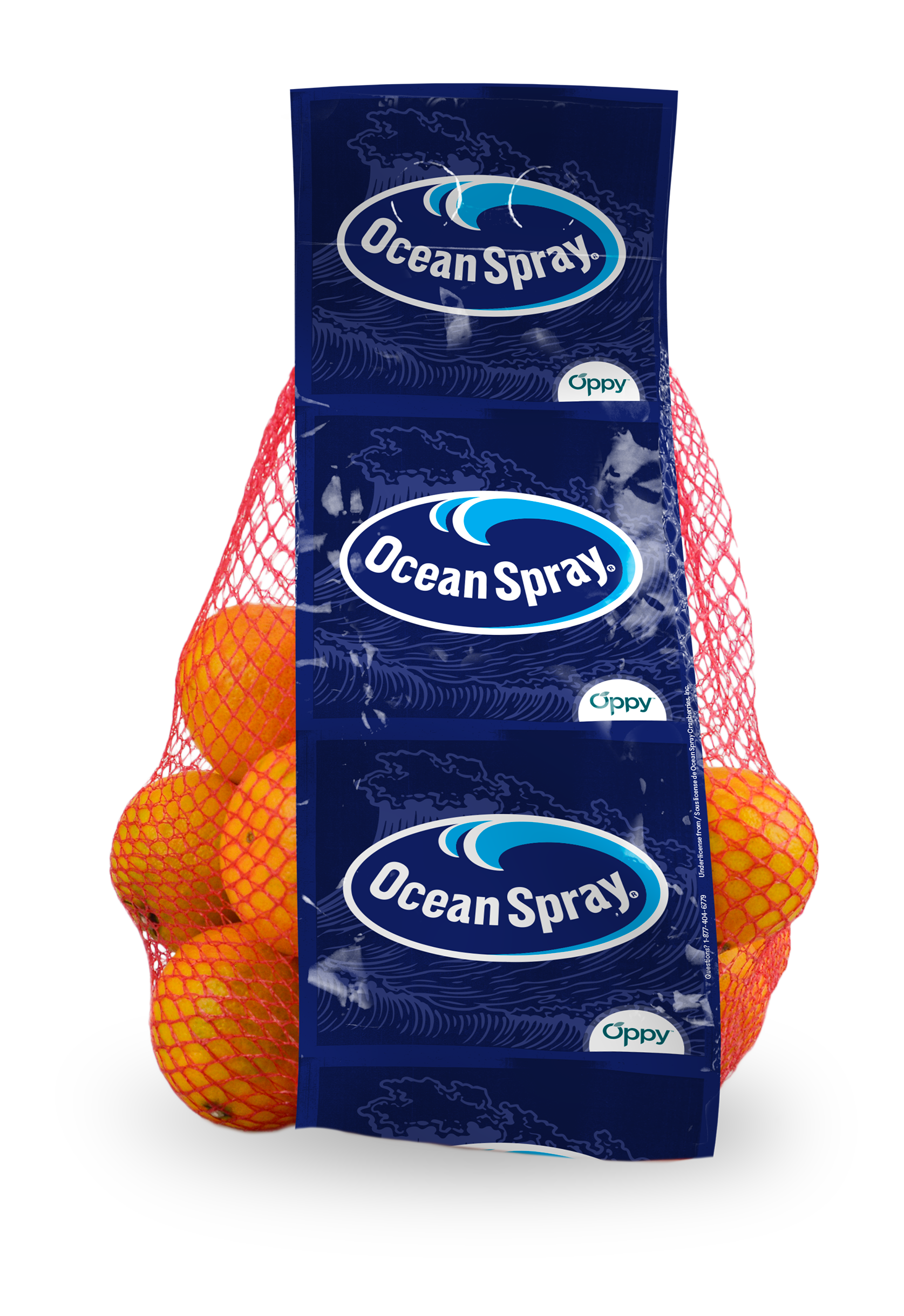 Ocean Spray® Easy Peel Fresh Oranges – Fresh Citrus Fruit