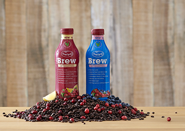 Brew products bottle placed over cranberries