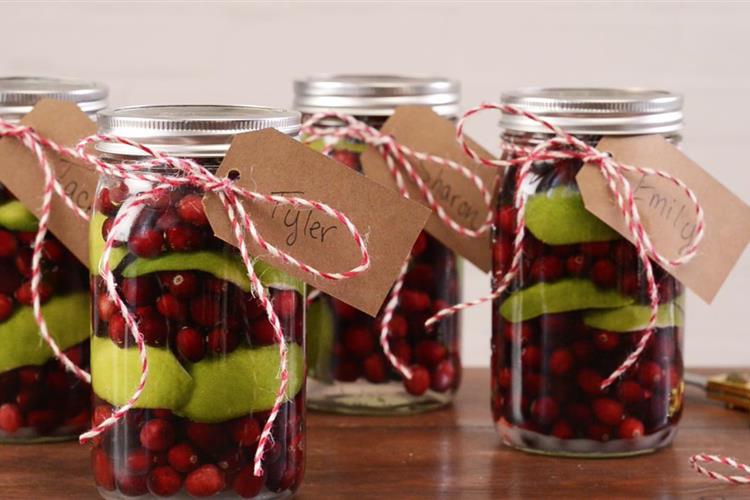 Cranberry Infused Vodka