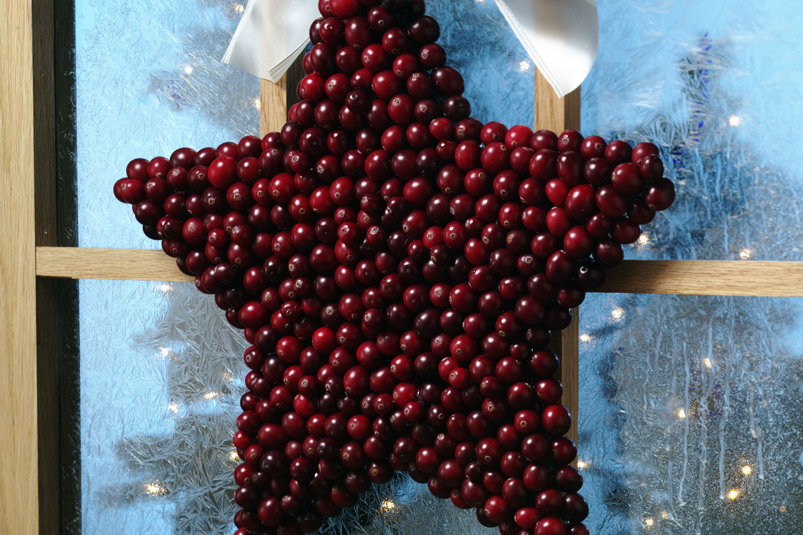 Festive Cranberry Star