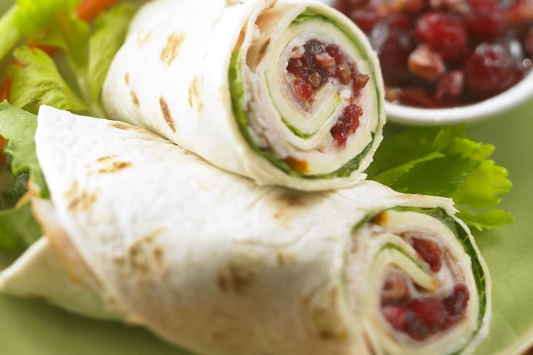 Turkey Cranberry Roll-ups